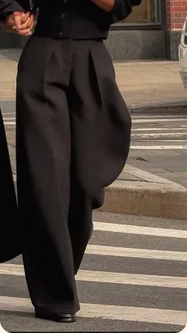 Wide pleated trousers